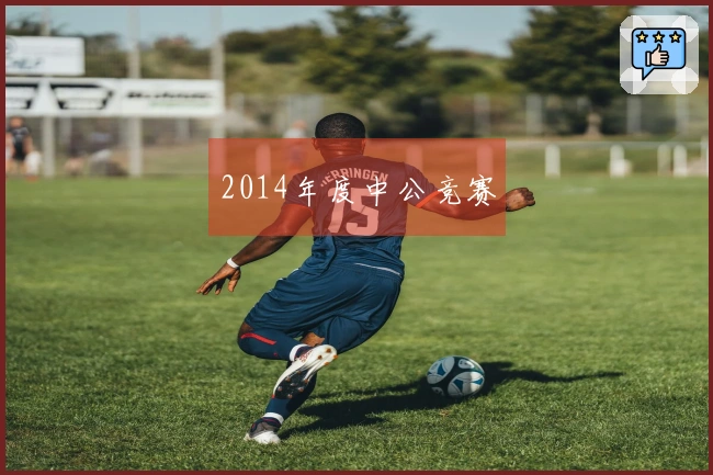 2014年度中公竞赛